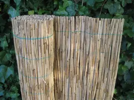 Rietmat puszta 100x200 cm kopen?