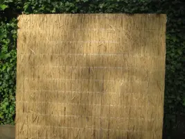 Rietplaat nagy 100x200 cm kopen?