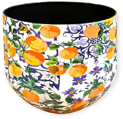 RM Plants Bolpot 23x21,5cm Mandarin