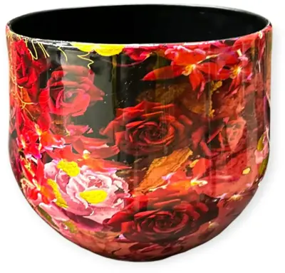 RM Plants Bolpot 23x21,5cm Rose