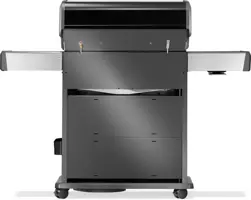 Rogue pro-s 525 zwart - afbeelding 4