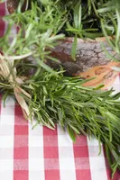 Rosmarinus officinalis (Rozemarijn) - afbeelding 27