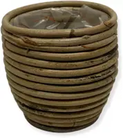 Rotan Ballon plantenmand 10x9cm kopen?