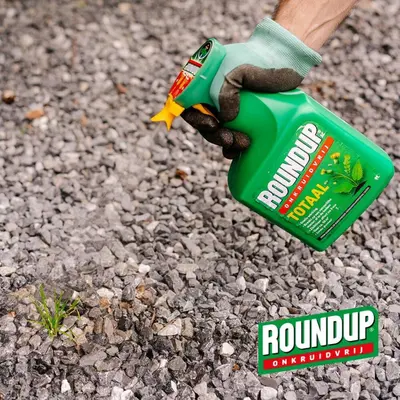 Roundup AC Totaal Onkruidvrij Kant en Klaar spray 1L - afbeelding 4