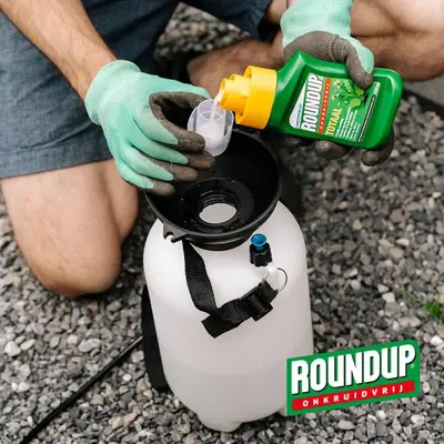 ROUNDUP PA Totaal Onkruidvrij  Concentraat 500ml, 220m² - afbeelding 3