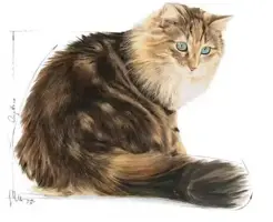 Royal Canin Ageing 12+ natvoer in jus 85g - afbeelding 3