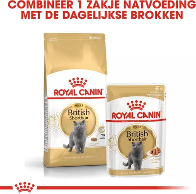Royal Canin british shorthair adult 2kg - afbeelding 5
