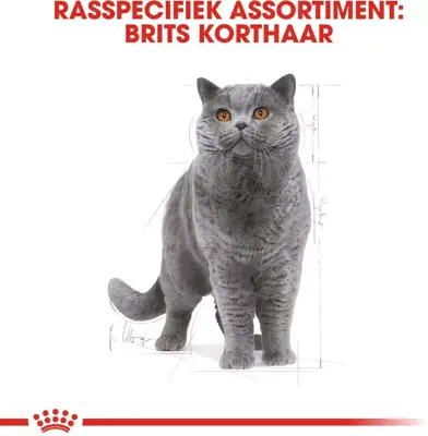 Royal Canin british shorthair adult 2kg - afbeelding 2