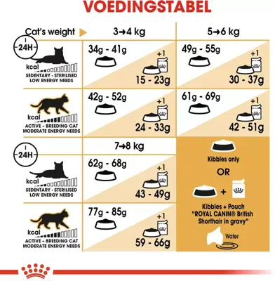 Royal Canin british shorthair adult 2kg - afbeelding 6