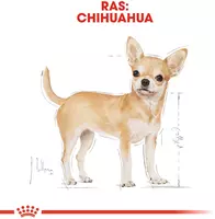 Royal Canin Chihuahua adult natvoer 12x85g - afbeelding 2
