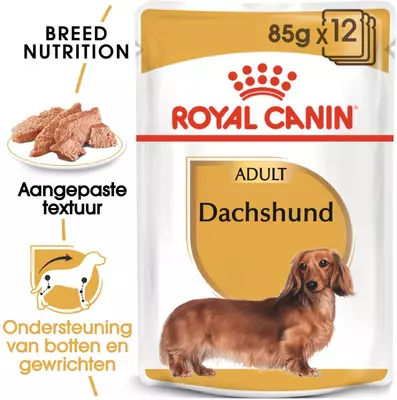 Royal Canin Dachshund adult natvoer 12x85g - afbeelding 8