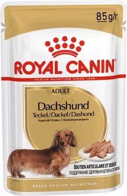 Royal Canin Dachshund adult natvoer 12x85g - afbeelding 1