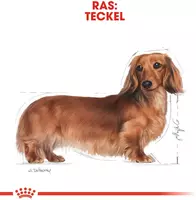 Royal Canin Dachshund adult natvoer 12x85g - afbeelding 2