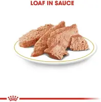 Royal Canin Dachshund Adult natvoer, 85g - afbeelding 2