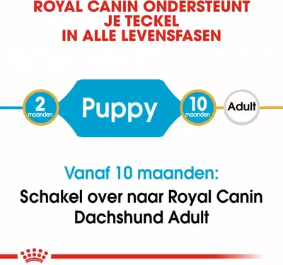 Royal Canin Dachshund puppy 1,5kg - afbeelding 2