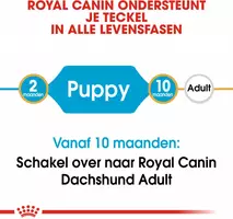 Royal Canin Dachshund puppy 1,5kg - afbeelding 2