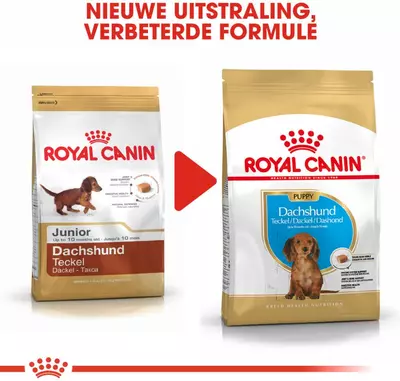 Royal Canin Dachshund puppy 1,5kg - afbeelding 7