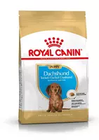 Royal Canin Dachshund puppy 1,5kg kopen?
