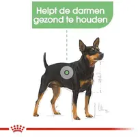 Royal Canin Digestive in Loaf natvoer hond, 85g - afbeelding 4