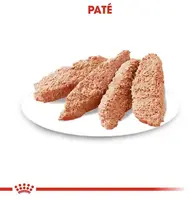 Royal Canin Digestive natvoer 85g - afbeelding 2