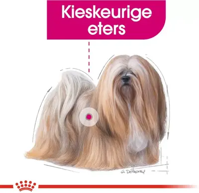 Royal Canin Exigent mini 3kg - afbeelding 3