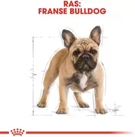 Royal Canin french bulldog adult 1,5kg - afbeelding 2