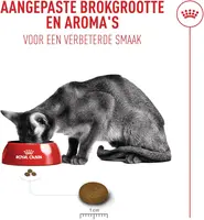 Royal Canin Fussy Exigent 10kg - afbeelding 3