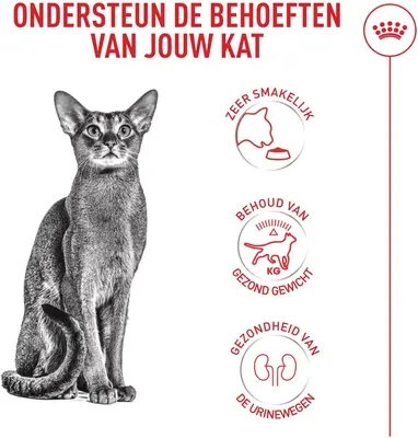 Royal Canin Fussy Exigent 10kg - afbeelding 4