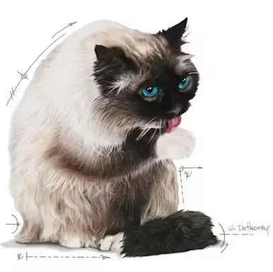 Royal Canin Hairball Care natvoer in jus 85g - afbeelding 7