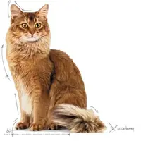 Royal Canin Light Weight Care in Jelly natvoer kat 85g - afbeelding 3