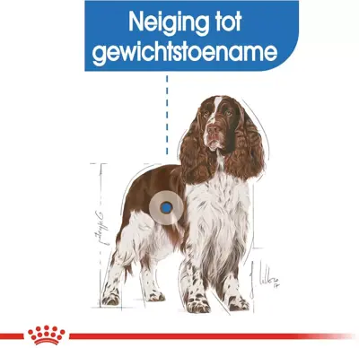 Royal Canin Light Weight Care Medium 3kg - afbeelding 3