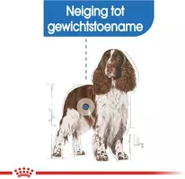 Royal Canin Light Weight Care Medium 3kg - afbeelding 3