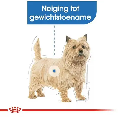 Royal Canin Light Weight Care natvoer 85g - afbeelding 3