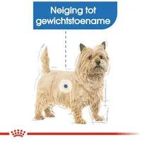 Royal Canin Light Weight Care natvoer 85g - afbeelding 3