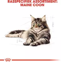 Royal Canin Maine Coone Adult 2kg - afbeelding 2