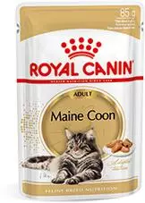 Royal Canin Maine Coone Adult in gravy natvoer 12x85g kopen?