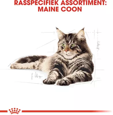 Royal Canin Maine Coone Adult in gravy natvoer 12x85g - afbeelding 2