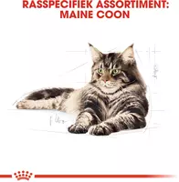 Royal Canin Maine Coone Adult in gravy natvoer 12x85g - afbeelding 2