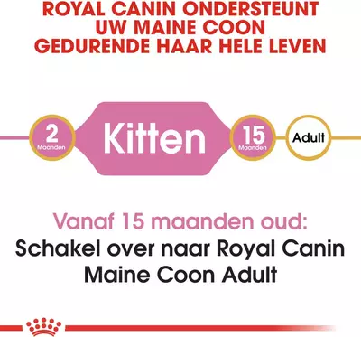 Royal Canin Maine Coone Kitten 2kg - afbeelding 3