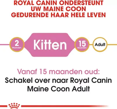 Royal Canin Maine Coone Kitten 2kg - afbeelding 3