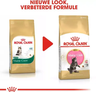 Royal Canin Maine Coone Kitten 2kg - afbeelding 7