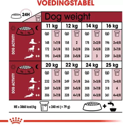 Royal Canin Medium Ageing 10+ jaar 3kg - afbeelding 4