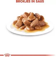 Royal Canin Mini Adult 12+ Ageing natvoer hond, 85g - afbeelding 4