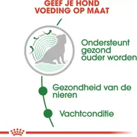 Royal Canin Mini Adult 12+ Ageing natvoer hond, 85g - afbeelding 3