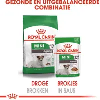 Royal Canin Mini Adult 12+ Ageing natvoer hond, 85g - afbeelding 5