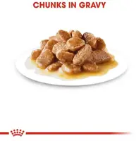 Royal Canin Mini Adult natvoer 85g - afbeelding 6