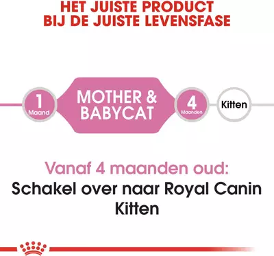 Royal Canin Mother & babycat 2kg - afbeelding 2