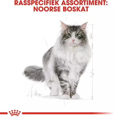 Royal Canin Norwegian Forest Cat Adult 2kg - afbeelding 2