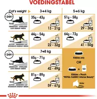 Royal Canin Norwegian Forest Cat Adult 400g - afbeelding 6