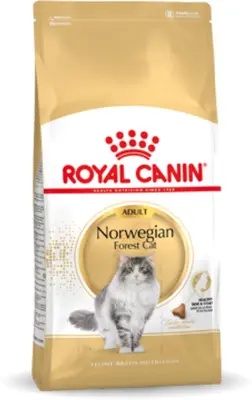 Royal Canin Norwegian Forest Cat Adult kattenvoer 400g - afbeelding 1